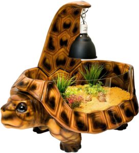 terrario-de-diseño-para-tortugas-de-tierra